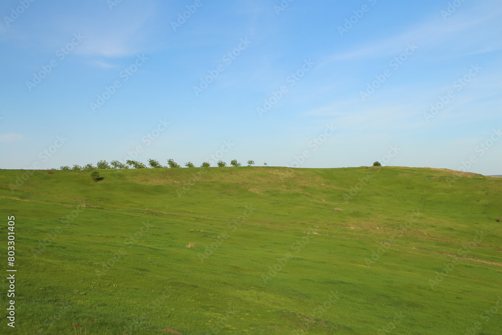 A grassy field with trees in the background