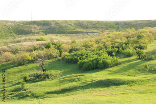 A large green landscape