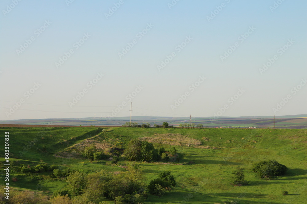 A landscape with trees and grass