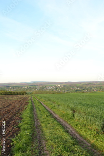 A long shot of a field