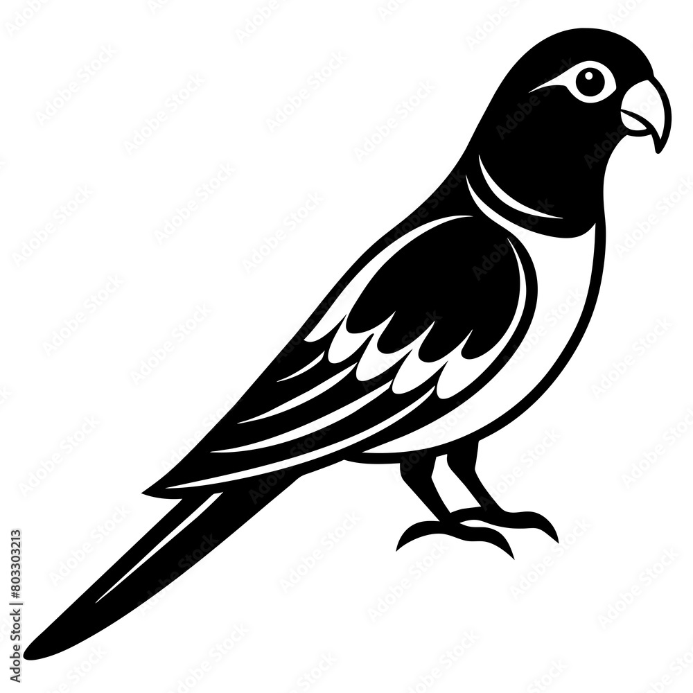 illustration of a bird illustration of a bird