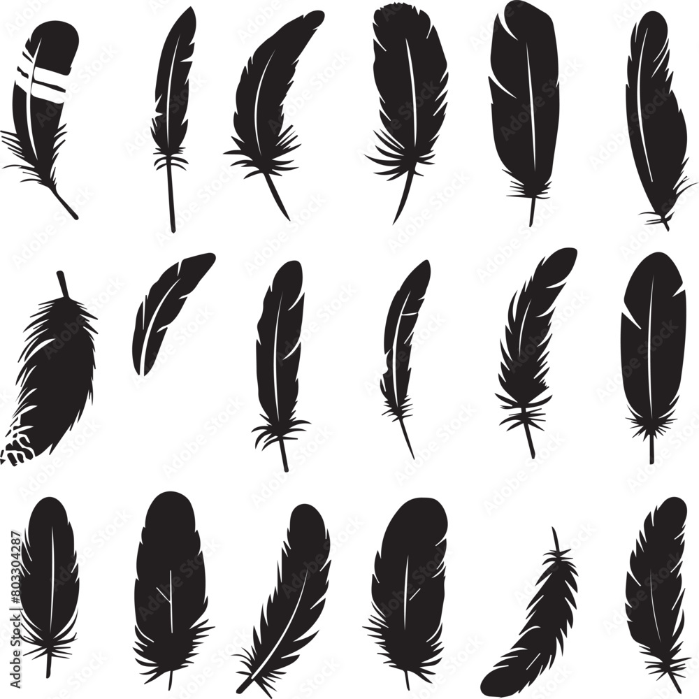 set of feathers set of feathers