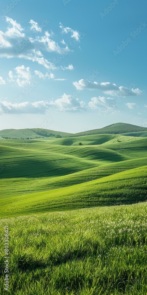 Naklejka premium Green rolling hills under blue sky with white clouds