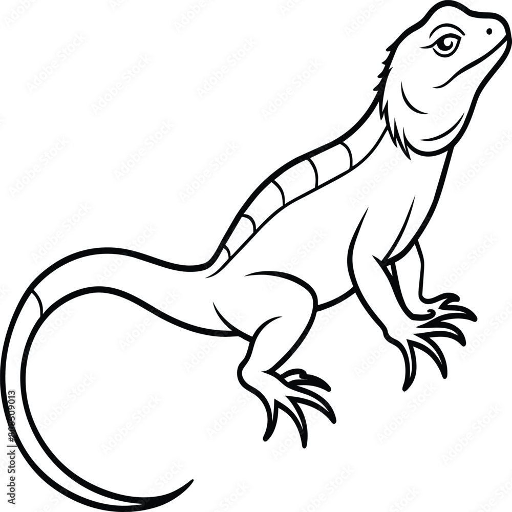 Lizard coloring pages. Lizard animal outline. Reptile line art Lizard coloring pages. Lizard animal outline. Reptile line art