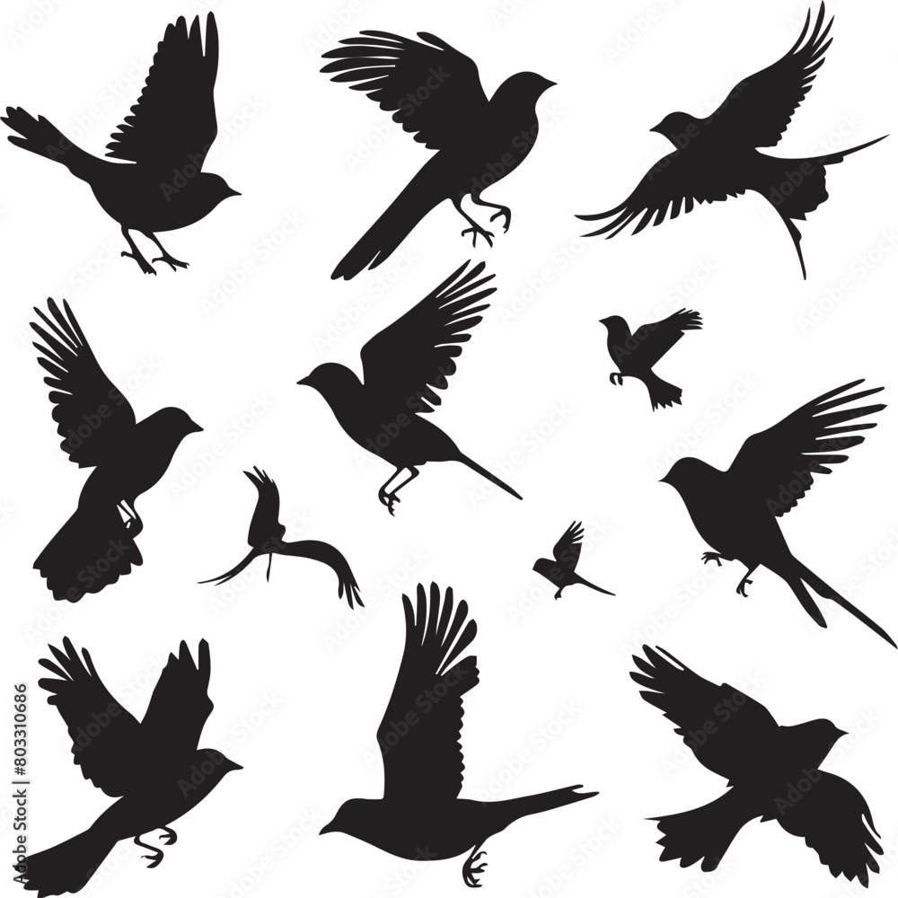 Fototapeta premium set of silhouettes of birds
