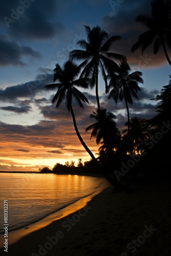 Palm trees at sunset on a tropical beach