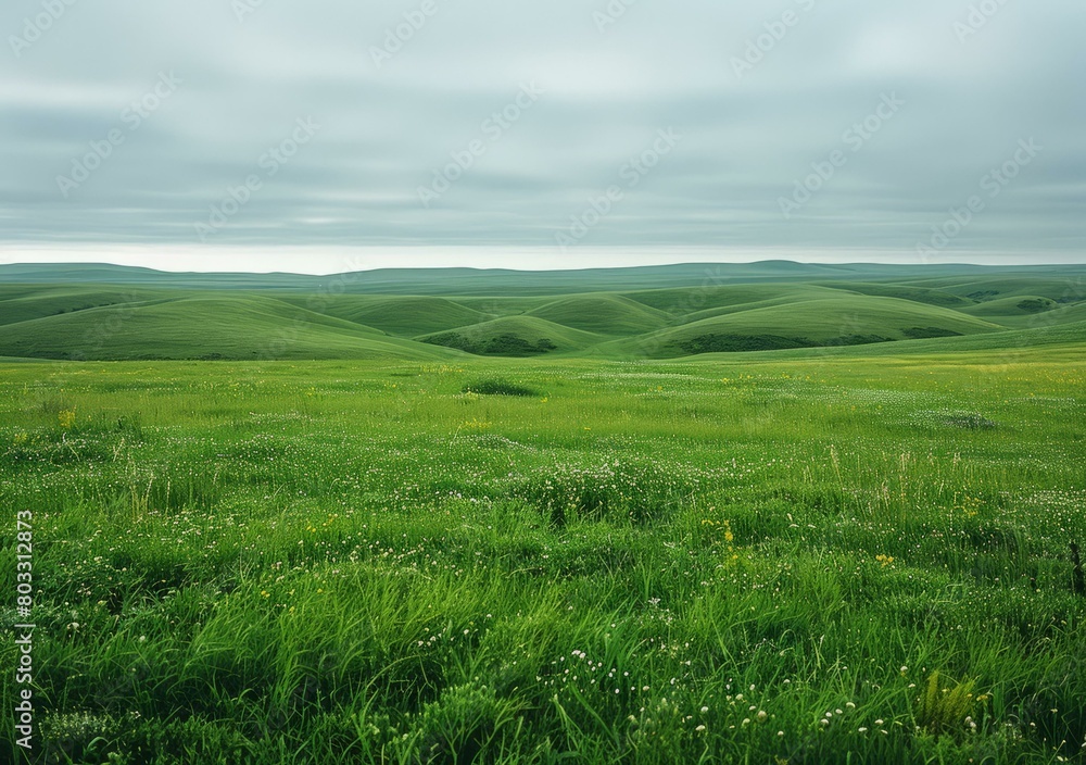 Fototapeta premium Green rolling hills under cloudy sky