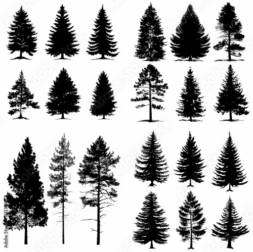 black tree silhouette set pure badge eco outline recreation breath emblem label protection graphic pine trunk woodland