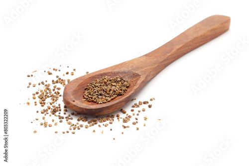 Front view of a wooden spoon filled with Organic Kochia (Bassia scoparia) seeds. Isolated on a white background. photo