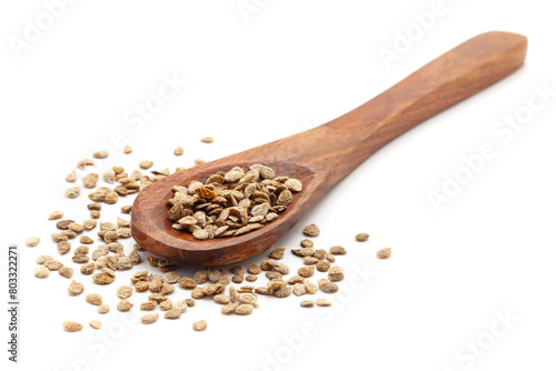 Front view of a wooden spoon filled with Organic Tomato (Solanum lycopersicum) seeds. Isolated on a white background. photo