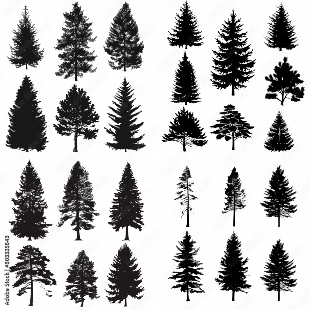 Obraz premium black tree silhouette set pure badge eco outline recreation breath emblem label protection graphic pine trunk woodland