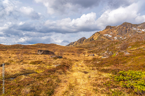 nature sceneries inside the area surroundings of Leknes, Lofoten Islands, Norway, during the spring season