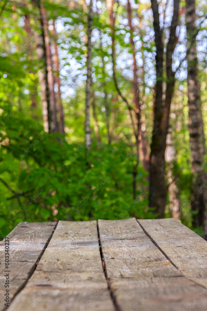 A simple wooden table in the forest A simple wooden table in the forest