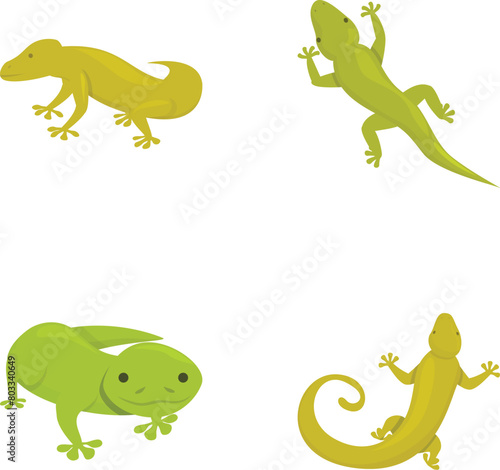 Green gecko icons set cartoon vector. Cute cartoon exotic lizard. Animal, amphibian