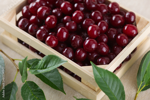 A small wooden crate full of fresh cherries and cherries branches on a beige cloth background.