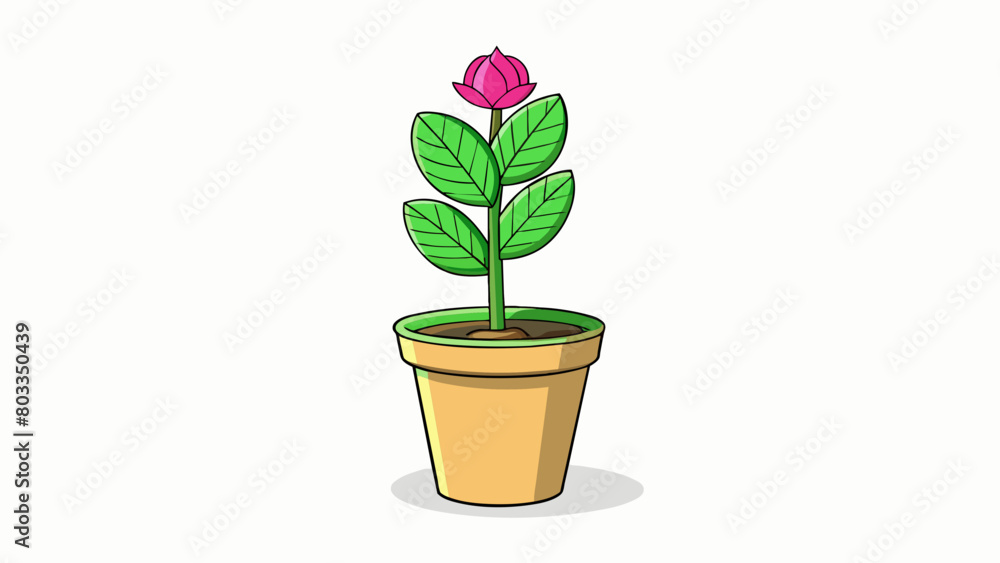 A tall leafy plant standing in a pot on a sunny windowsill. Its vibrant green leaves are wide and round with delicate s running through them. The stem. Cartoon Vector