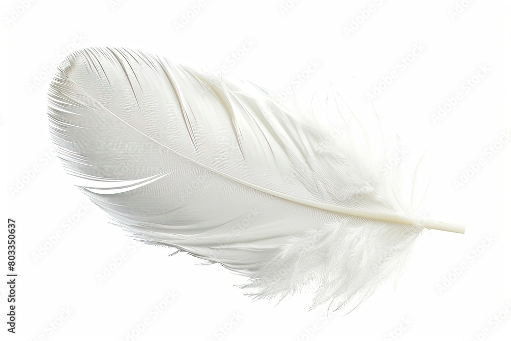 Obraz premium White feather isolated on white background