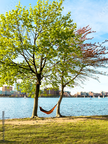 hammock between the trees at the river coast  city escape  online detox