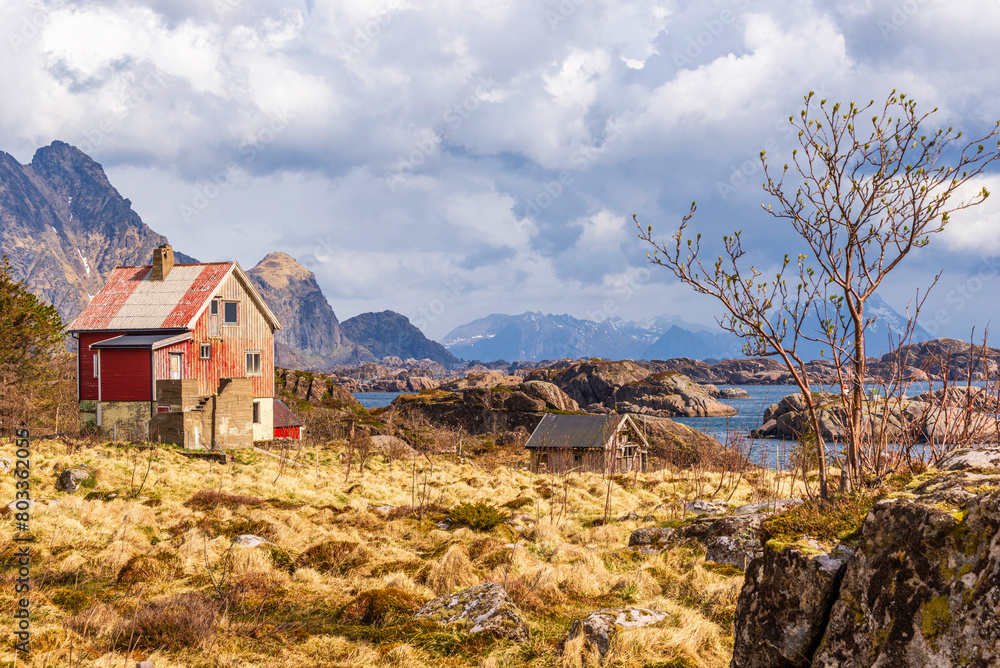 nature sceneries inside the area surroundings of Leknes, Lofoten Islands, Norway, during the spring season