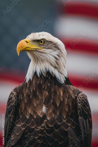 Eagle with USA flag in the background  concept of American independence  July 4th  Independence Day  American Flag.