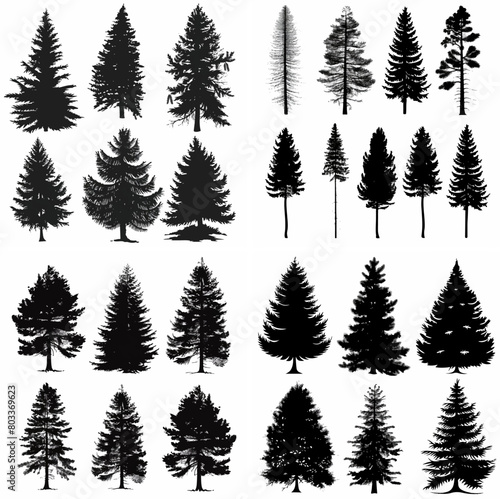 black tree silhouette set pure badge eco outline recreation breath emblem label protection graphic pine trunk woodland