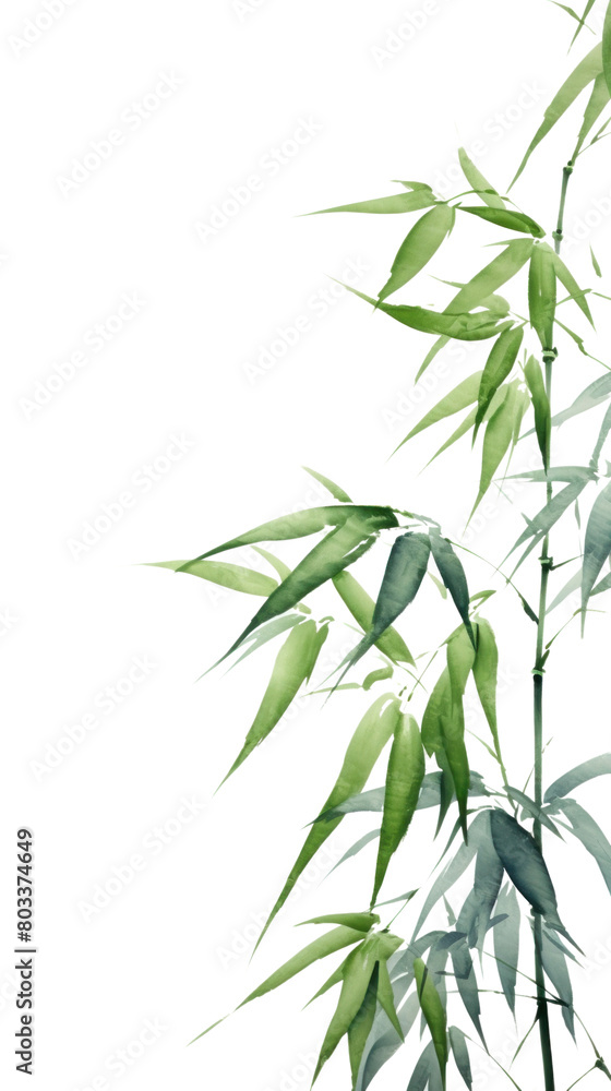 PNG  Bamboo leaves backgrounds plant leaf.