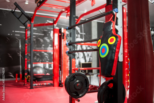 Sports equipment for training in the gym