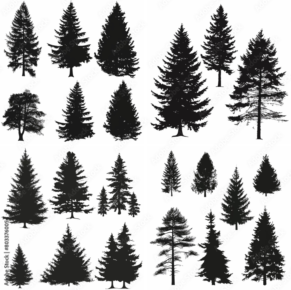 Obraz premium black tree silhouette set pure badge eco outline recreation breath emblem label protection graphic pine trunk woodland