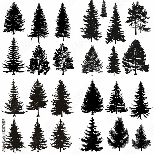 black tree silhouette set pure badge eco outline recreation breath emblem label protection graphic pine trunk woodland