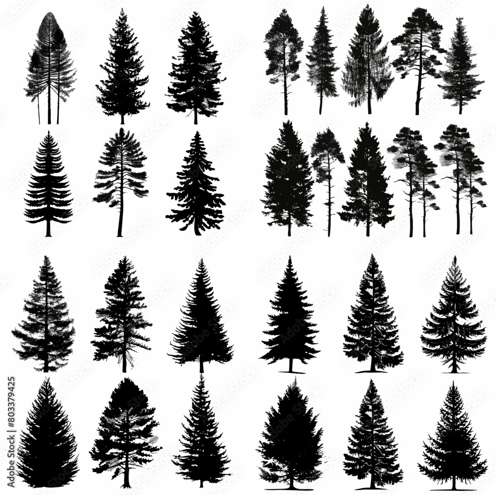Obraz premium black tree silhouette set pure badge eco outline recreation breath emblem label protection graphic pine trunk woodland