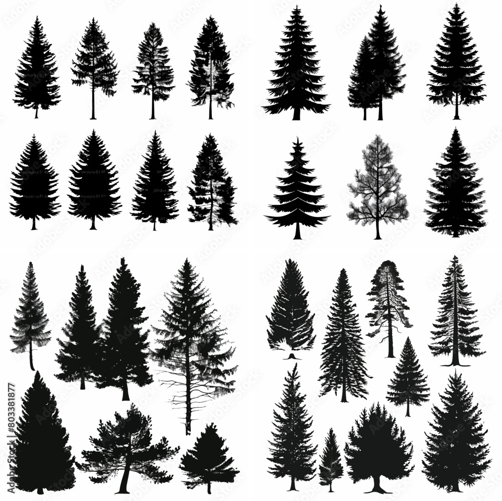 black tree silhouette set pure badge eco outline recreation breath emblem label protection graphic pine trunk woodland black tree silhouette set pure badge eco outline recreation breath emblem label protection graphic pine trunk woodland