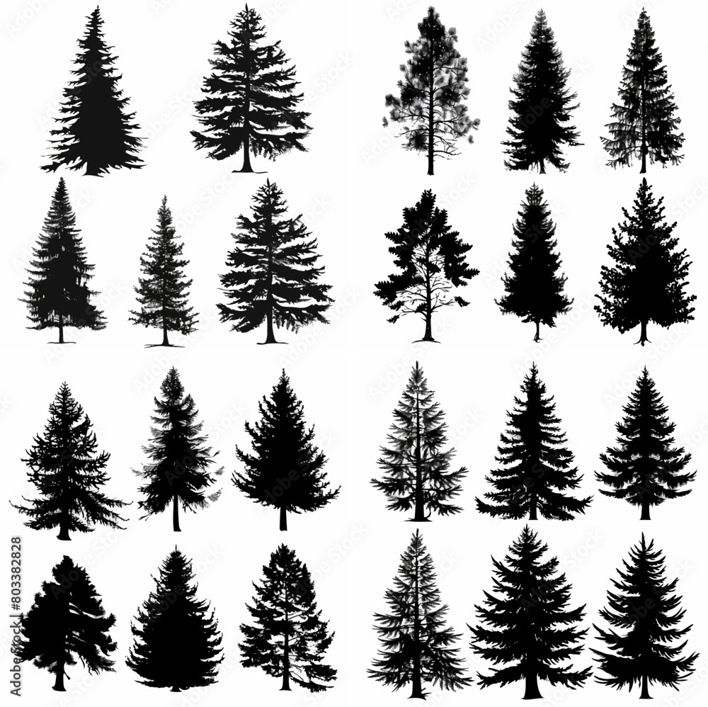 black tree silhouette set pure badge eco outline recreation breath emblem label protection graphic pine trunk woodland black tree silhouette set pure badge eco outline recreation breath emblem label protection graphic pine trunk woodland