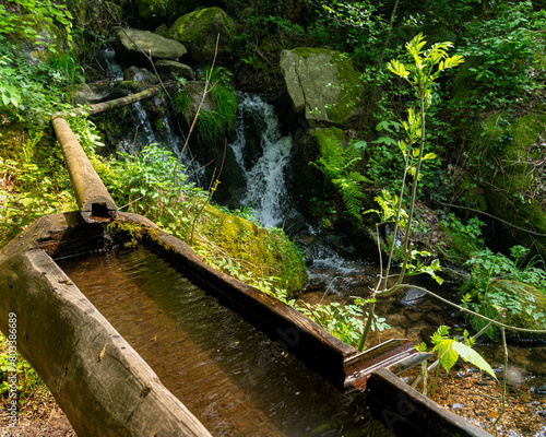 The Gaishöll waterfalls near Sasbachwalden in the Black Forest. Baden Wuerttemberg, Germany, Europe. photo