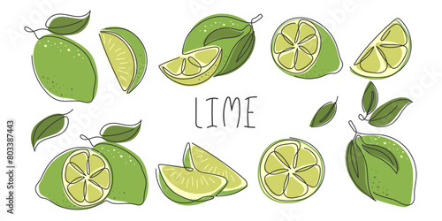 Collection of limes whole, half, slice, piece. Abstract continuous line drawn green tropical citrus fruit isolated on white. Lime various for design. Healthy vitamin food