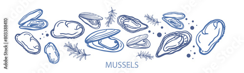Isolated vector set of seafood. Mussels. Oysters. Hand drawn seafood delicacy, restaurant and marine cafe menu. Design template.