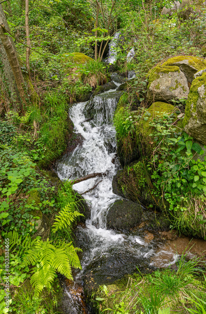 The Gaishöll waterfalls near Sasbachwalden in the Black Forest. Baden Wuerttemberg, Germany, Europe. The Gaishöll waterfalls near Sasbachwalden in the Black Forest. Baden Wuerttemberg, Germany, Europe.