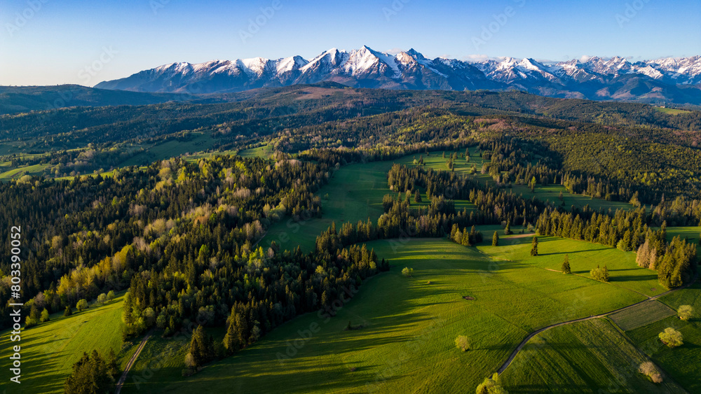 Tatry Zielone Pola Wiosna