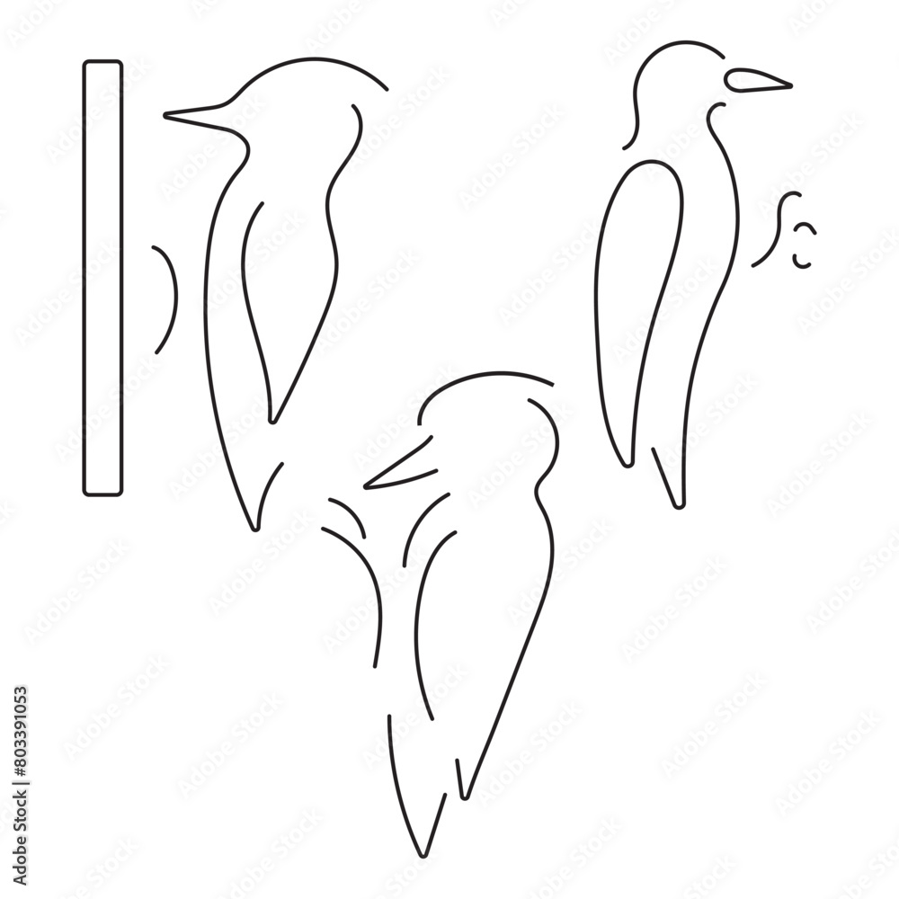 woodpecker group of icons in black on a white background. Vector illustration. woodpecker group of icons in black on a white background. Vector illustration.