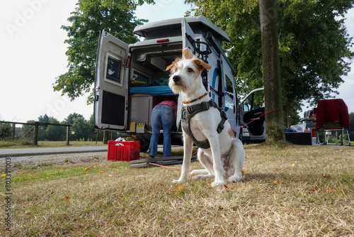 Campingurlaub mit Hund.  Süßer Hund Kromfohrländer sitzt vor dem Van und wartet.