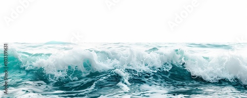 Crisp ocean wave on a clear background