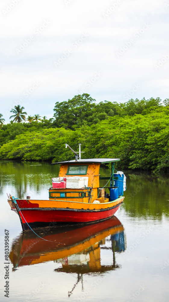 Barco colorido em uma lagoa em alagoas