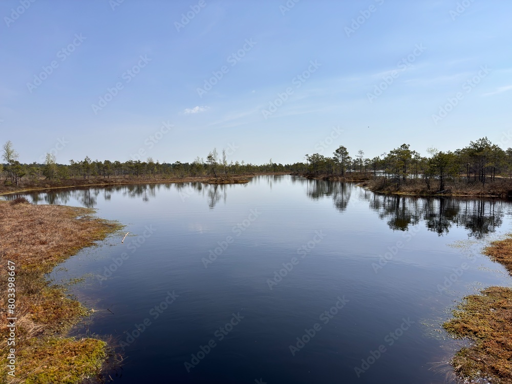 Latvian kemeri swamp