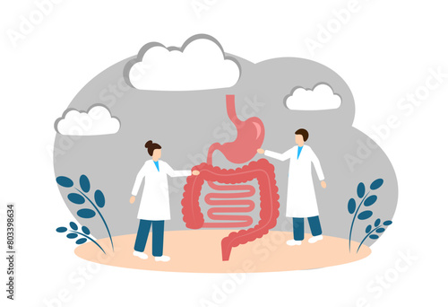 Digestive organs. Human Anatomy. Intestines and stomach