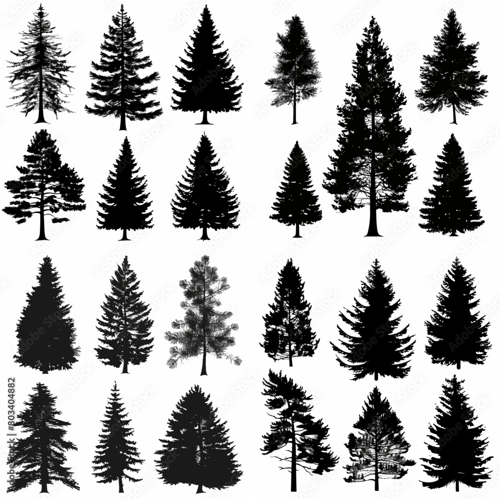 black tree silhouette set pure badge eco outline recreation breath emblem label protection graphic pine trunk woodland black tree silhouette set pure badge eco outline recreation breath emblem label protection graphic pine trunk woodland
