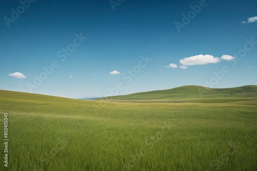 landscape with grass and sky