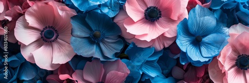 Blue and pink flowers in a close up composition