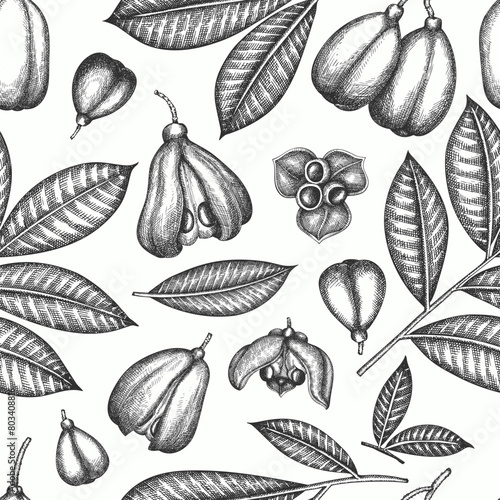 Hand drawn sketch style ackee seamless pattern. Organic fresh food vector illustration. Retro exotic fruit  background.