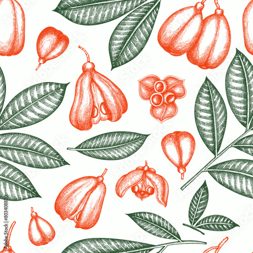 Hand drawn sketch style ackee seamless pattern. Organic fresh food vector illustration. Retro exotic fruit  background.