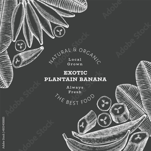 Hand drawn sketch style plantain banner. Organic fresh fruit vector illustration on chalk board. Retro exotic banana fruit design template