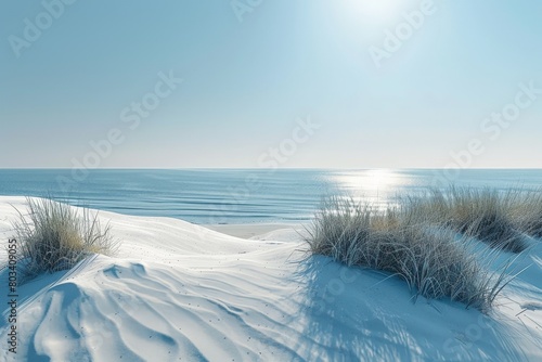Snow-covered Sandy Beach With Grass